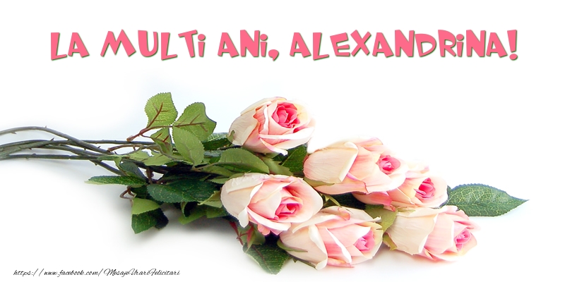  Trandafiri: La multi ani, Alexandrina! - Felicitari de La Multi Ani cu flori