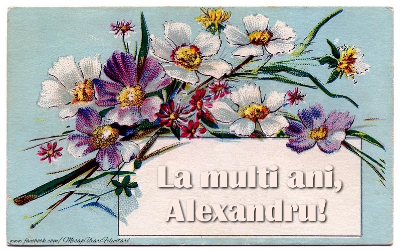 La multi ani, Alexandru! - Felicitari de La Multi Ani cu flori