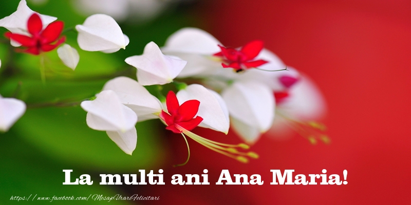 La multi ani Ana Maria! - Felicitari de La Multi Ani cu flori