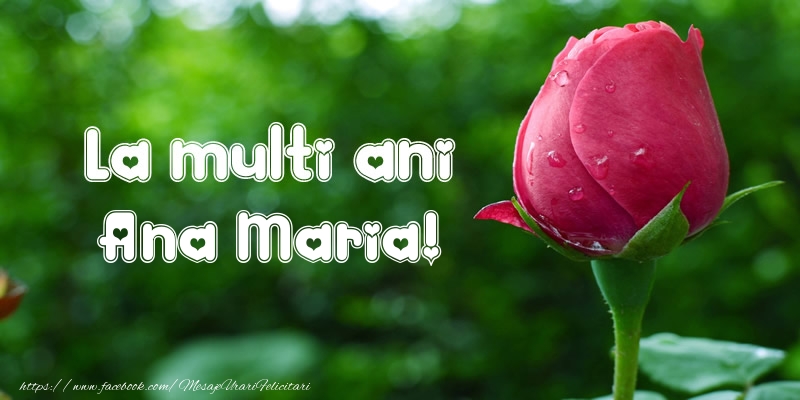  La multi ani Ana Maria! - Felicitari de La Multi Ani cu lalele
