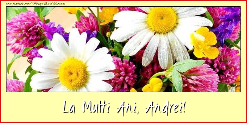 La multi ani, Andrei! - Felicitari de La Multi Ani cu flori
