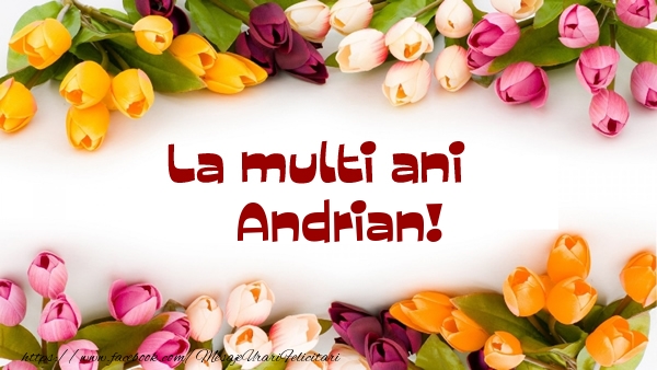 La multi ani Andrian! - Felicitari de La Multi Ani cu flori