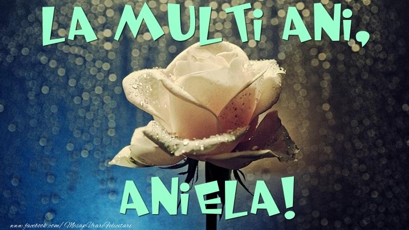 La multi ani, Aniela - Felicitari de La Multi Ani cu trandafiri
