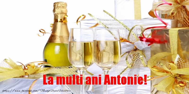La multi ani Antonie! - Felicitari de La Multi Ani cu sampanie