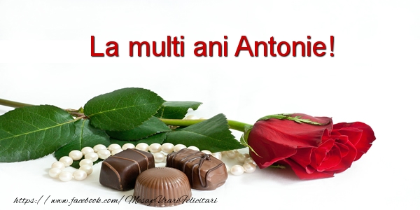 La multi ani Antonie! - Felicitari de La Multi Ani cu flori
