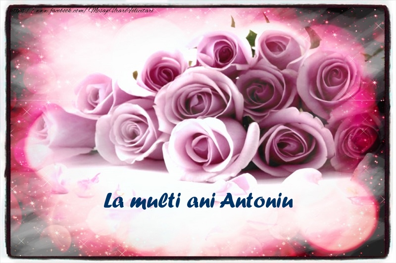 La multi ani Antoniu - Felicitari de La Multi Ani cu flori