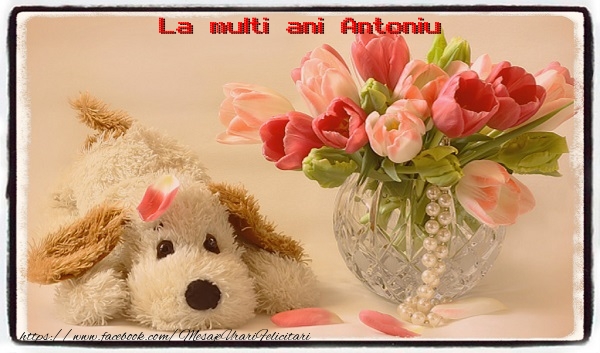 La multi ani Antoniu - Felicitari de La Multi Ani