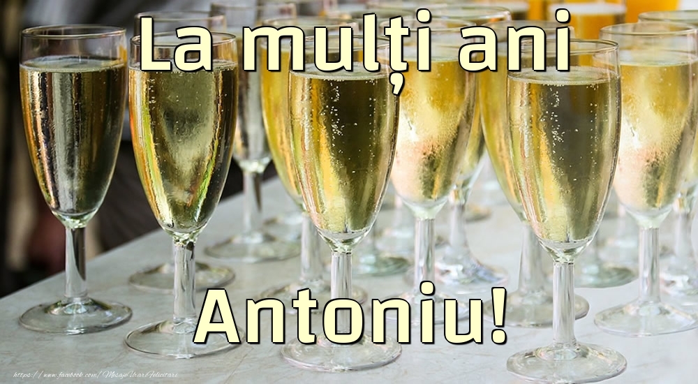 La mulți ani Antoniu! - Felicitari de La Multi Ani cu sampanie