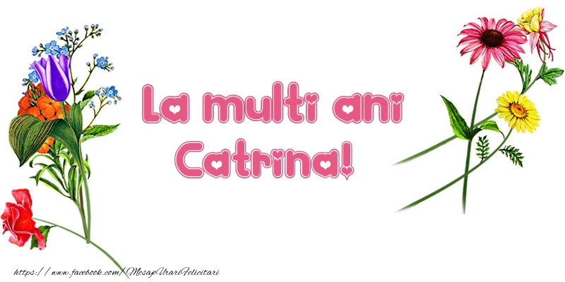 La multi ani Catrina! - Felicitari de La Multi Ani cu flori