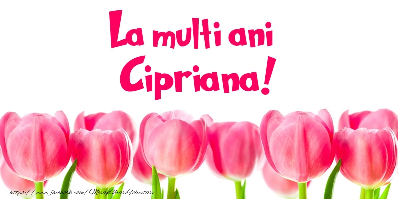 La multi ani Cipriana! - Felicitari de La Multi Ani cu lalele