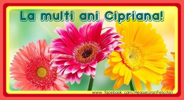 La multi ani Cipriana! - Felicitari de La Multi Ani cu flori
