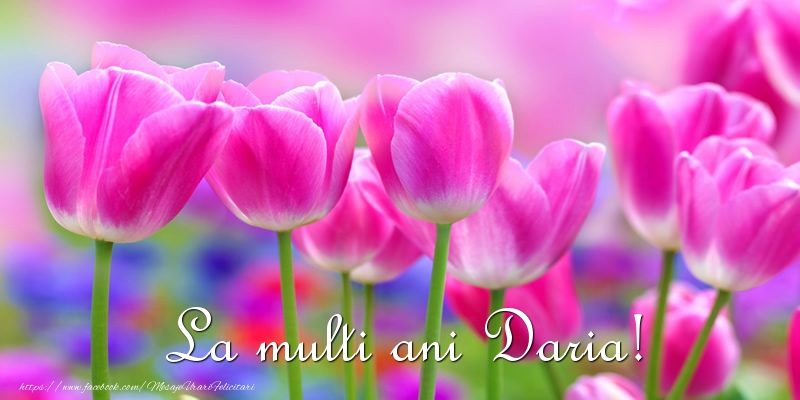 La multi ani Daria! - Felicitari de La Multi Ani cu lalele