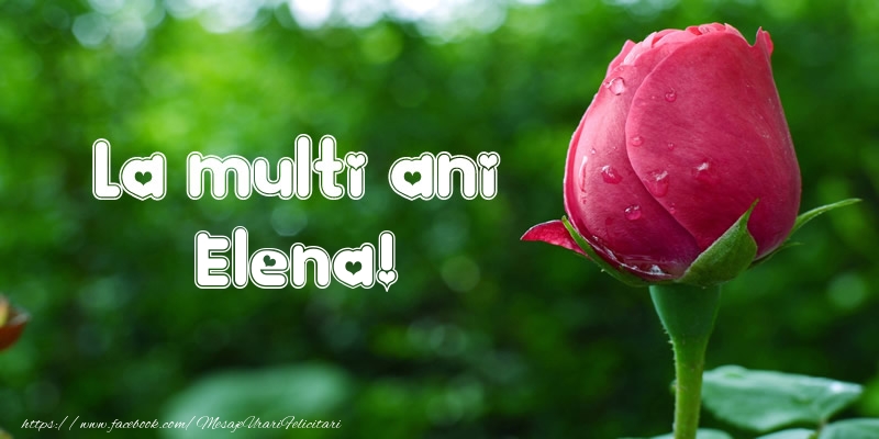 La multi ani Elena! - Felicitari de La Multi Ani cu lalele