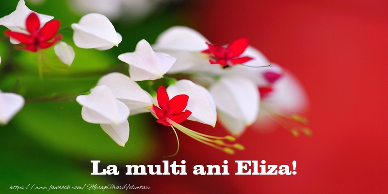 La multi ani Eliza! - Felicitari de La Multi Ani cu flori