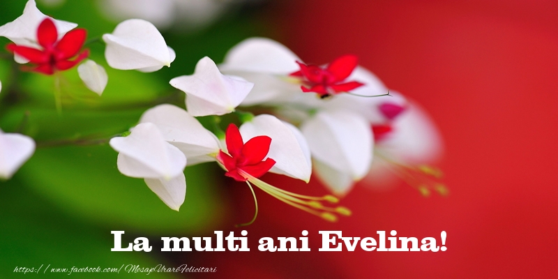 La multi ani Evelina! - Felicitari de La Multi Ani cu flori