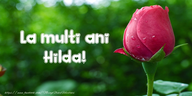 La multi ani Hilda! - Felicitari de La Multi Ani cu lalele
