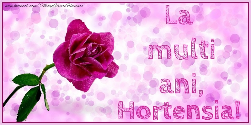 La multi ani, Hortensia! - Felicitari de La Multi Ani cu trandafiri