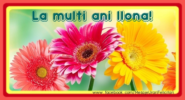 La multi ani Ilona! - Felicitari de La Multi Ani cu flori