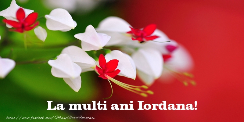 La multi ani Iordana! - Felicitari de La Multi Ani cu flori