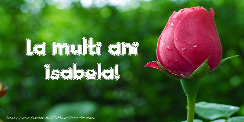 La multi ani Isabela! - Felicitari de La Multi Ani cu lalele