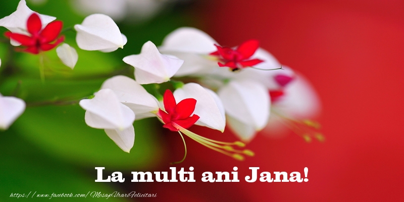 La multi ani Jana! - Felicitari de La Multi Ani cu flori