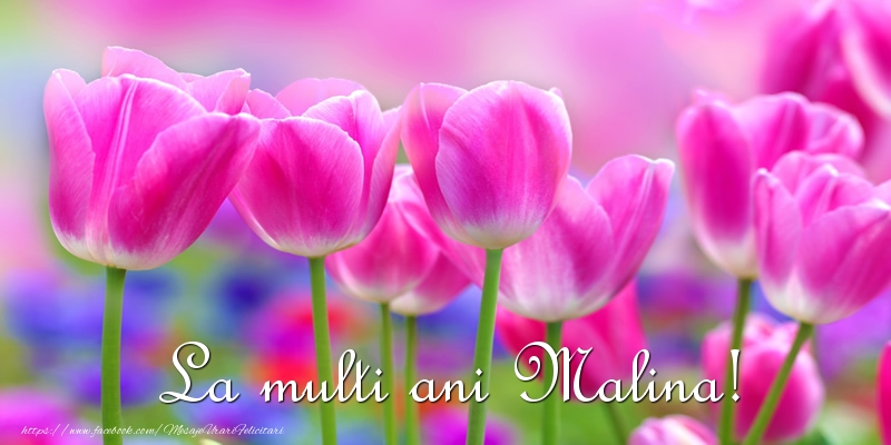 La multi ani Malina! - Felicitari de La Multi Ani cu lalele
