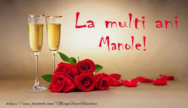 La multi ani Manole! - Felicitari de La Multi Ani cu flori si sampanie