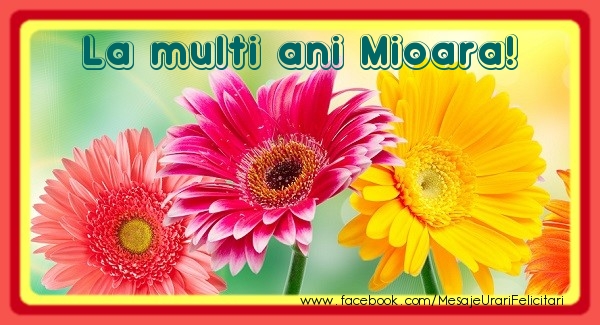 La multi ani Mioara! - Felicitari de La Multi Ani cu flori