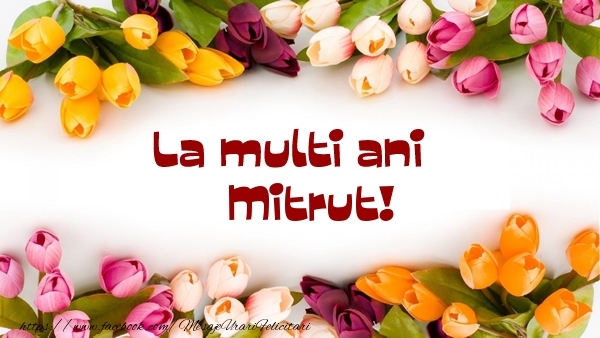 La multi ani Mitrut! - Felicitari de La Multi Ani cu flori
