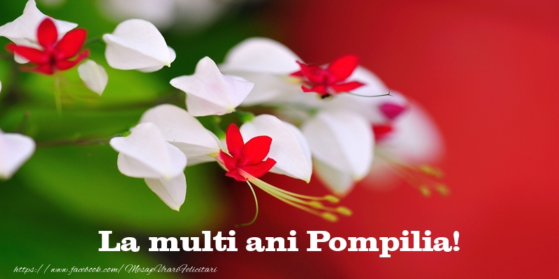 La multi ani Pompilia! - Felicitari de La Multi Ani cu flori