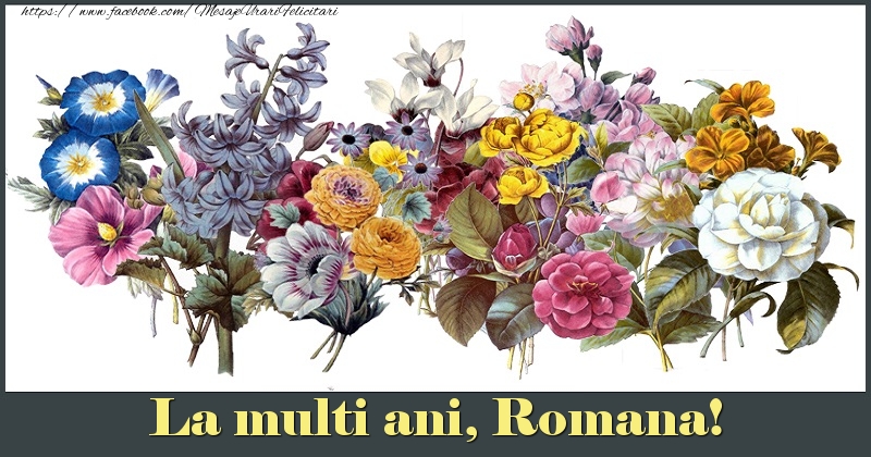 La multi ani, Romana! - Felicitari de La Multi Ani cu flori