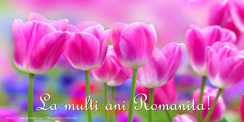La multi ani Romanita! - Felicitari de La Multi Ani cu lalele
