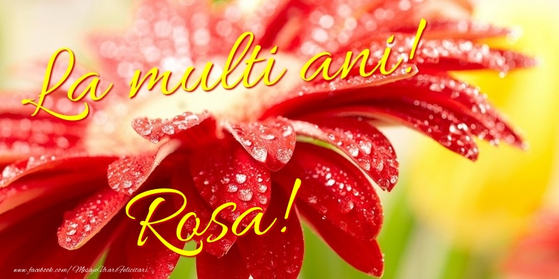La multi ani! Rosa - Felicitari de La Multi Ani