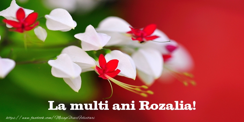 La multi ani Rozalia! - Felicitari de La Multi Ani cu flori