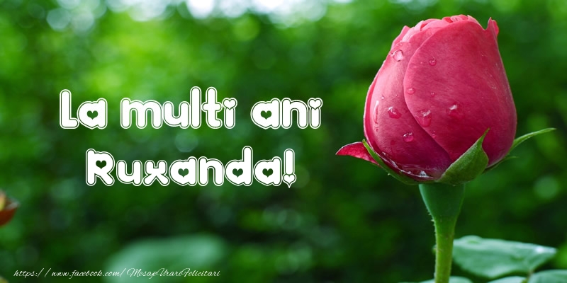 La multi ani Ruxanda! - Felicitari de La Multi Ani cu lalele