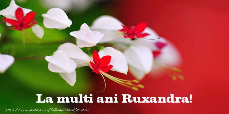  La multi ani Ruxandra! - Felicitari de La Multi Ani cu flori