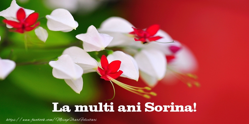 La multi ani Sorina! - Felicitari de La Multi Ani cu flori