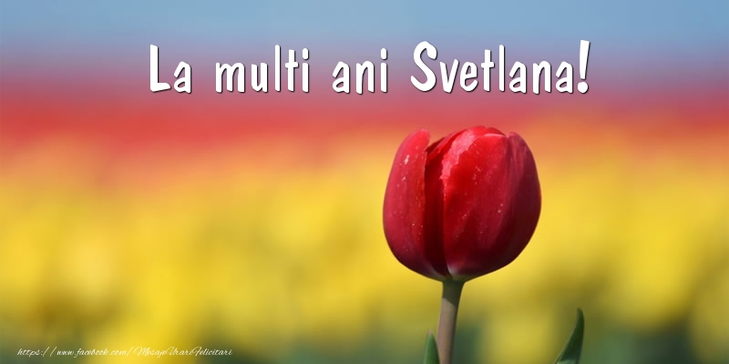 La multi ani Svetlana! - Felicitari de La Multi Ani cu lalele