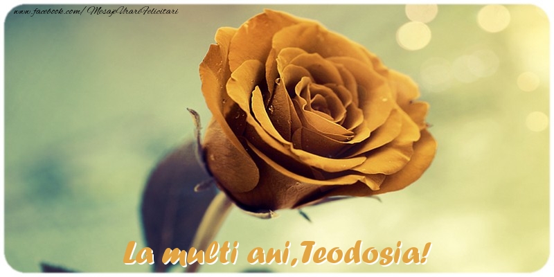 La multi ani, Teodosia! - Felicitari de La Multi Ani cu trandafiri