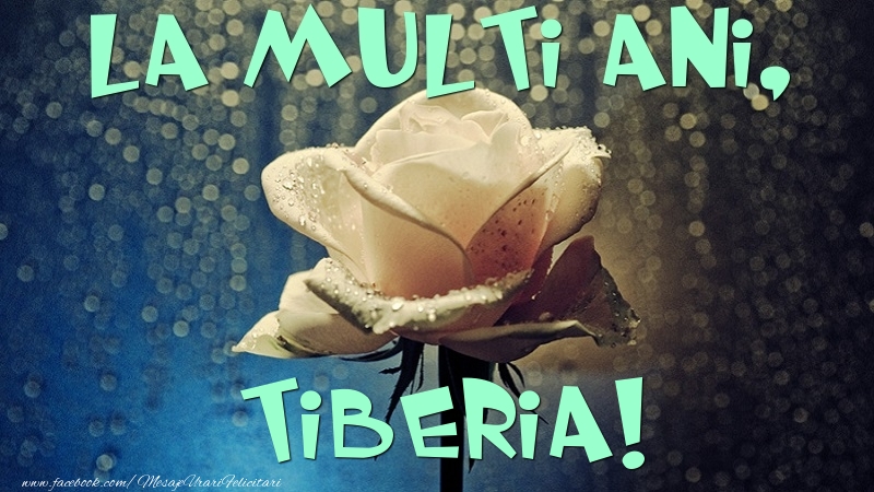  La multi ani, Tiberia - Felicitari de La Multi Ani cu trandafiri
