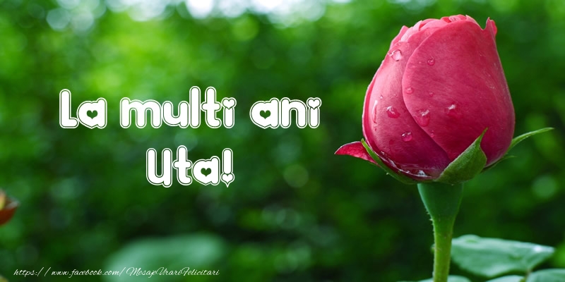 La multi ani Uta! - Felicitari de La Multi Ani cu lalele