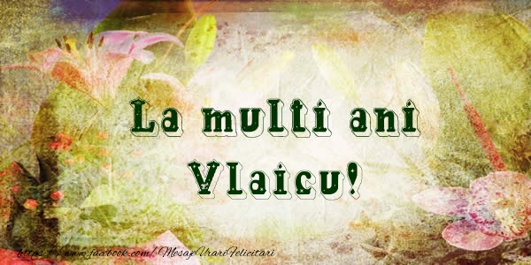 La multi ani Vlaicu! - Felicitari de La Multi Ani